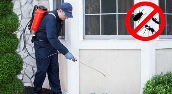 Manavkuyu Kene İlaçlama böcek ilaçlama ve haşere kontrolü — ilaclama-tr.com